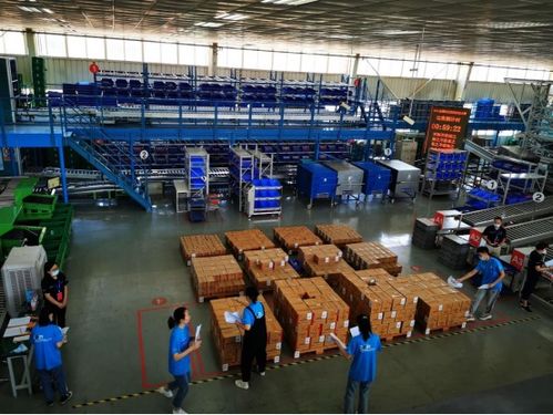 學校獲全國職業院校技能大賽智慧物流作業方案設計與實施賽項二等獎